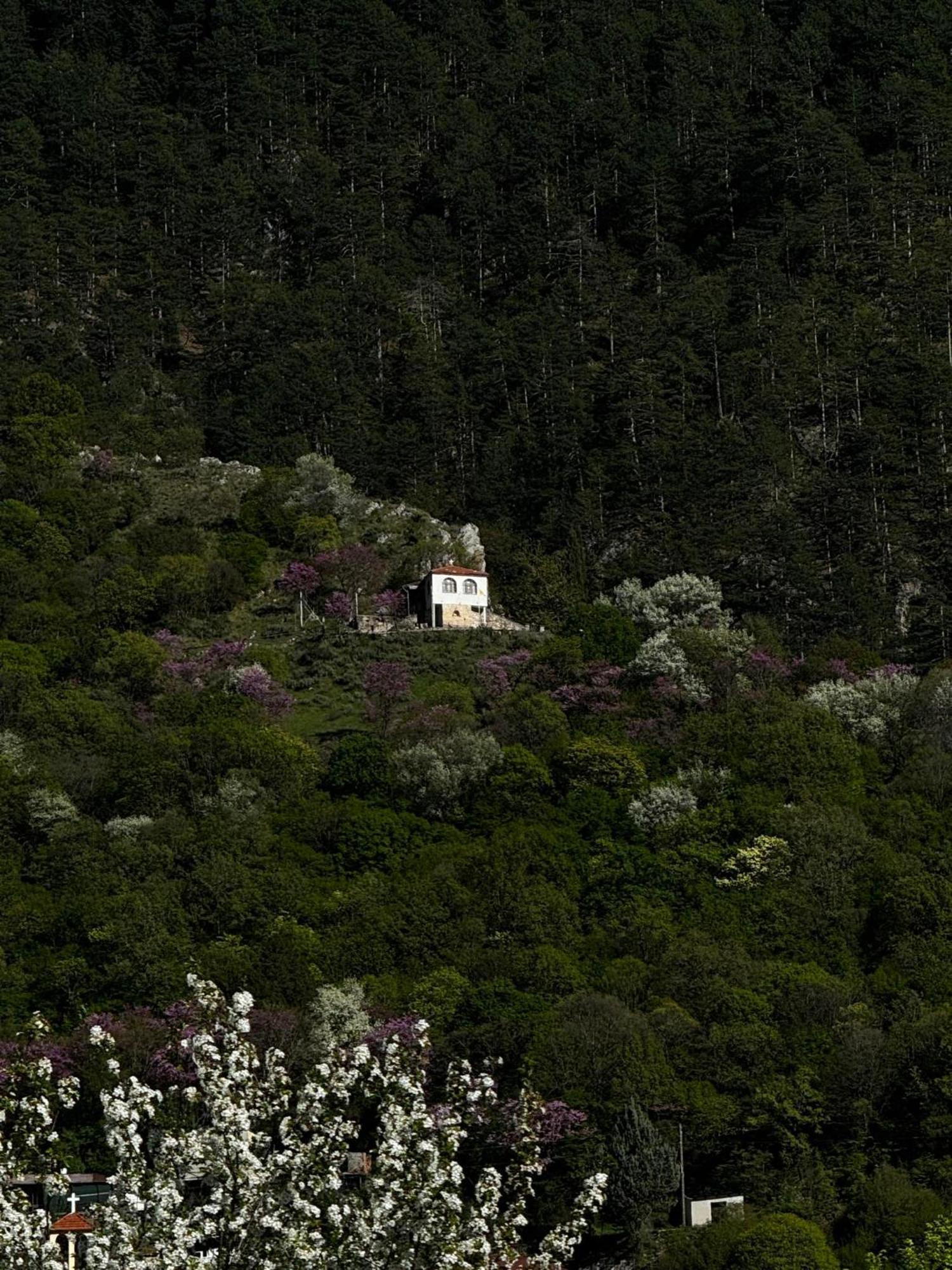 Mountain Serenity Konitsa Eksteriør billede