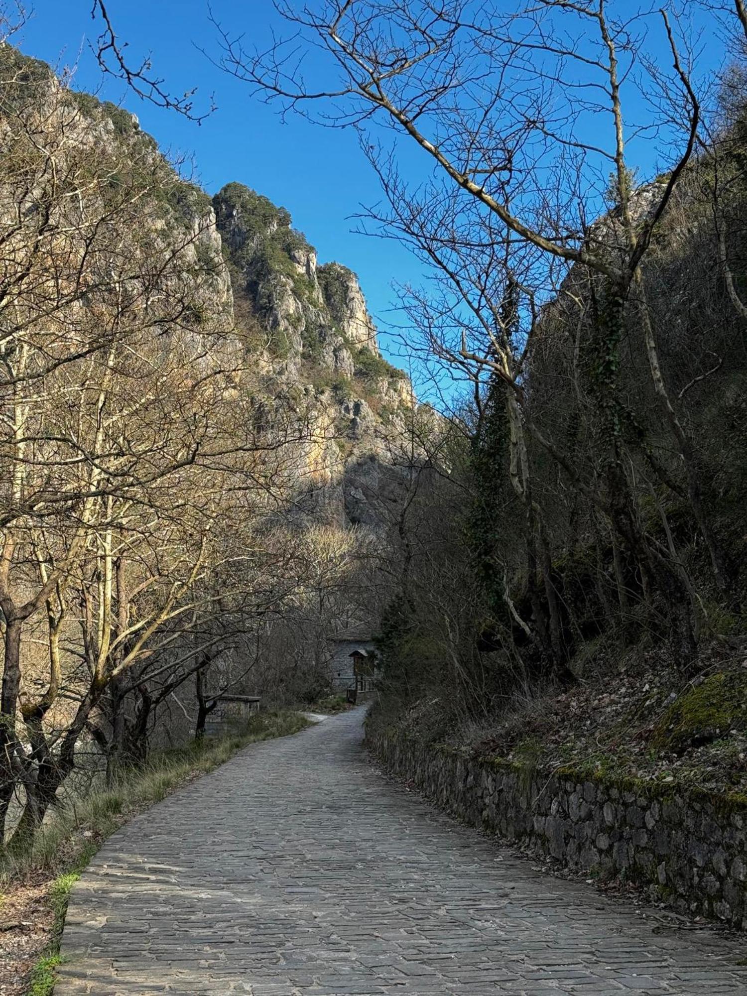 Mountain Serenity Konitsa Eksteriør billede